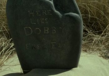 Harry Potter, ignoti distruggono la tomba di Dobby